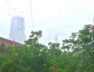 amdavad