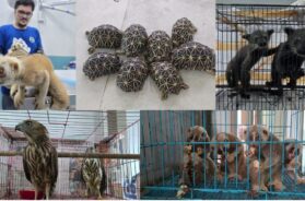 cbi raid