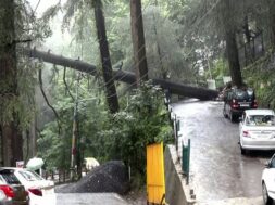 Himachal