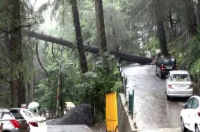 Himachal