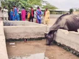 kutch, water problem