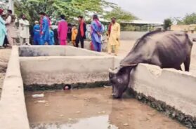 kutch, water problem
