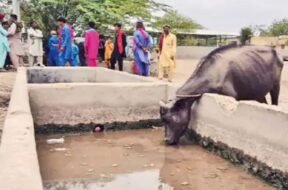 kutch, water problem