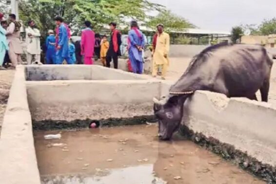 kutch, water problem