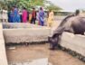 kutch, water problem