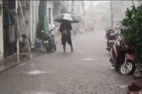 rain