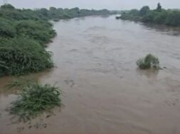 rain in gujarat