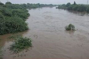 rain in gujarat