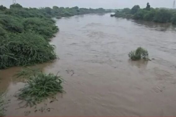 rain in gujarat