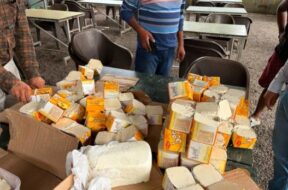 Anolog cheese caught