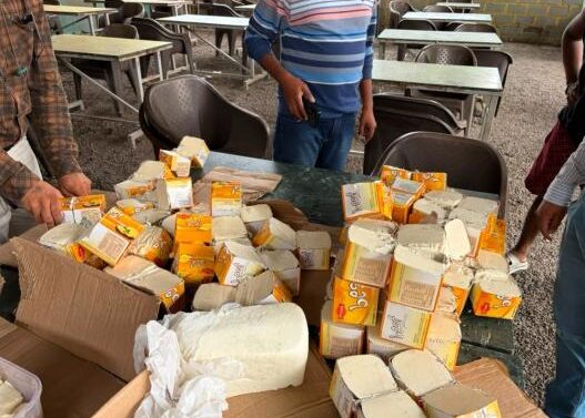 Anolog cheese caught
