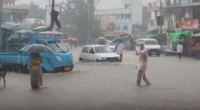 Rain