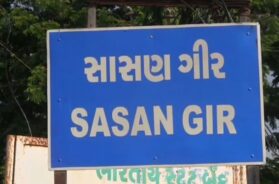 Sasan gir