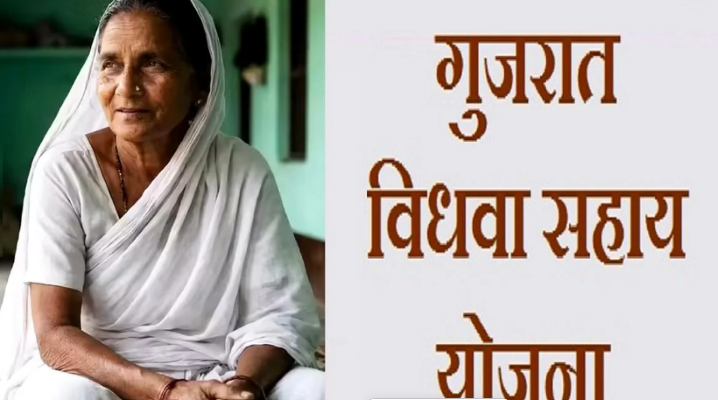 ગુજરાતમાં 17 લાખથી વધુ વિધવા મહિલાઓને વર્ષ 2025-2026માં રૂ. 2600 કરોડ ચુકવાયા