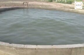 What do experts say about the turbulent water in the well of Virparada, Morbi? Watch the video