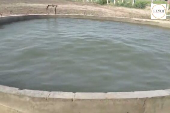 What do experts say about the turbulent water in the well of Virparada, Morbi? Watch the video