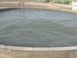A well in Virparada village near Morbi shook like ocean waves