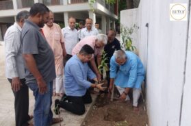Tree plantation at Shri Madhav Seva Bhavan – Naroda through environment conservation activity