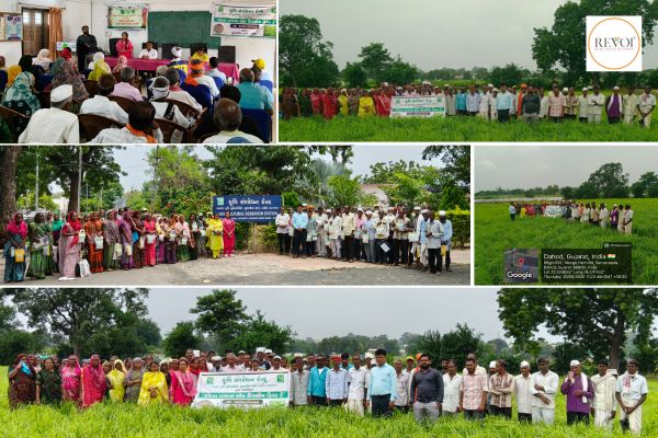 Anand Agricultural University organized a one-day field day program regarding Kodra crop.