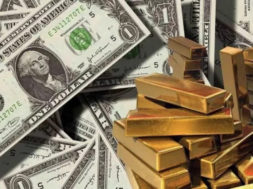 dolar money