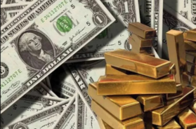 dolar money