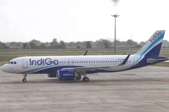 indigo