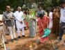 tree plantation